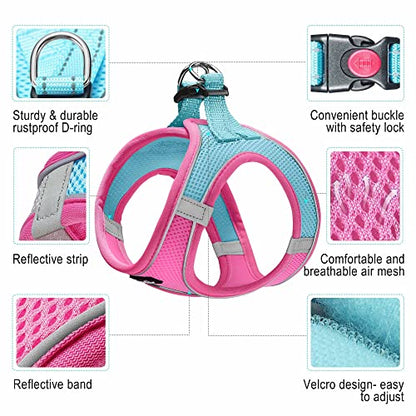 haapaw Dog Harness with Leash Set, No Pull Adjustable Reflective Step-in Puppy Harness with Thickened Padded Vest for Extra-Small/Small Medium Dogs - color: Blue / Pink, size: S
