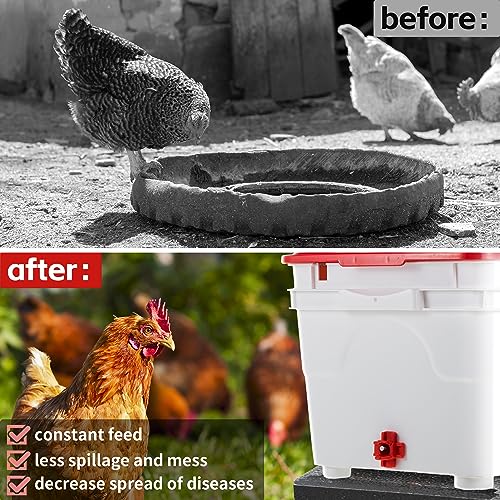 Dreyoo 12 Pcs Horizontal Chicken Waterer Nipples with Drill Bit, Leakproof Chicken Water Nipple, Durable ABS Plastic & Stainless Steel Poultry Watering Nipples for Coop Outdoor Use (Red)