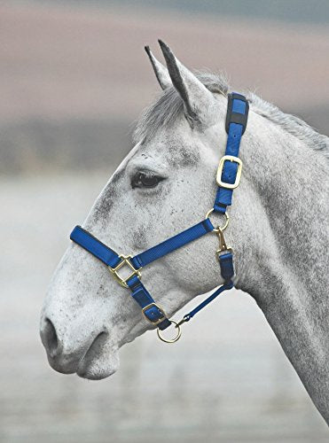 Shires Topaz Leather Breakaway Nylon Headcollar - color: Navy, size: Small Pony