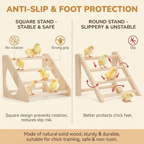Anti-Rotation Chick Perch, Fir Wood Chicken Roosting Bar for Brooder, Heavy Duty Training Stand for Baby Chicks & Poultry, Easy to Assemble Coop Accessories