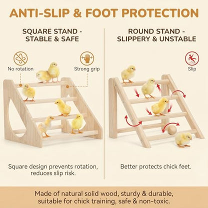 Anti-Rotation Chick Perch, Fir Wood Chicken Roosting Bar for Brooder, Heavy Duty Training Stand for Baby Chicks & Poultry, Easy to Assemble Coop Accessories