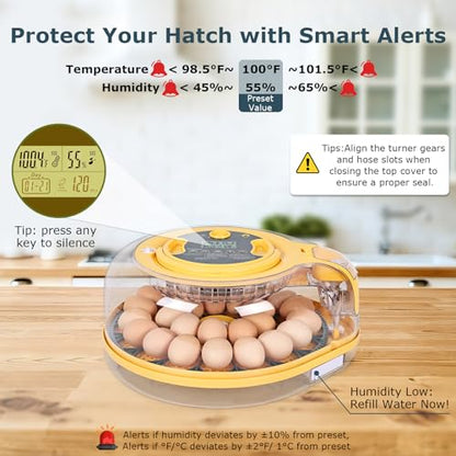 Egg Incubator, 26 Chicken/59 Quail Eggs Incubators for Hatching Eggs with Temp & Humidity Control, Auto Egg Turner, Adjustable Hatch Day & Air Vent, Egg Candler, Auto Water Refill, 360° Clear View - size: 26 Chicken Eggs