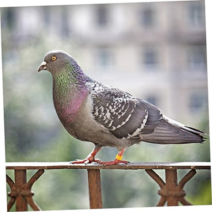 Hemoton 100pcs Bird Accessories Poultry Foot Band Rings Chicken Toys Blank Duck Bands Clip Leg Ring for Pigeon Parrots
