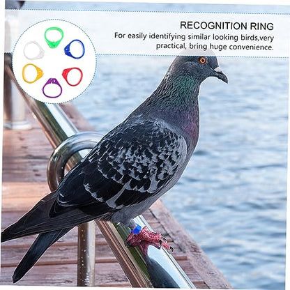 Hemoton 100pcs Bird Accessories Poultry Foot Band Rings Chicken Toys Blank Duck Bands Clip Leg Ring for Pigeon Parrots