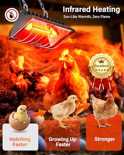 Chicken Coop Heater 2-Pack, 175W & 250W Dual-Mode Heat Lamp for Chickens with 3M Cord, Adjustable Hanging Height Brooder Heater for Ducks, Calves, Poultry and Livestock Pets Warmer in Winter