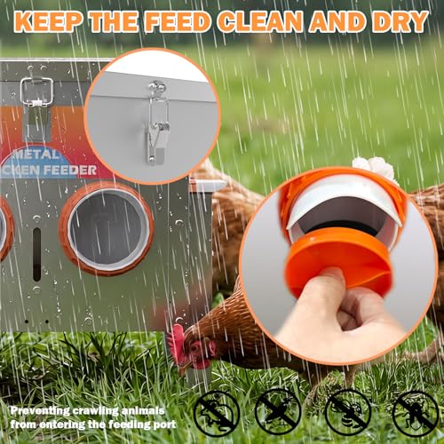 Automatic Chicken Feeder No Waste 25 Pounds 4 Ports Metal Poultry Feeder with Adjustable Legs Perspective Window Latch & Handle for Chickens Bantams Pheasants - size: 4 Ports - 25 LBS