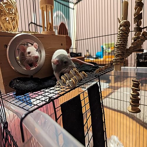 LWINGFLYER 6pcs Small Animal Chews Toy Natural Apple Wood Block Cage Hanging Molars Treats Snack for Hamsters Rabbits Bunny Bird Parrots Chinchilla Guinea Pig Gerbils Squirrels - color: 6pcs Natural Apple Wood