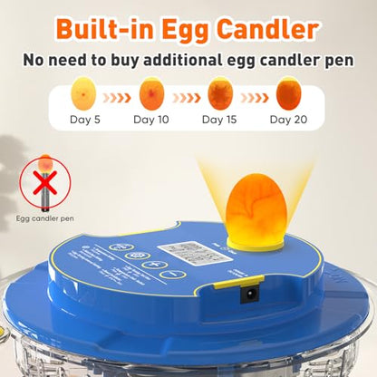 MYPIN 18 Chicken Eggs Incubator with Temperature Control, Humidity Display, Auto Egg Turning, Auto Water Filling, 2 Size Egg Trays, Chick Incubaotrs for Hatching Eggs Digital Incubator for Chicken