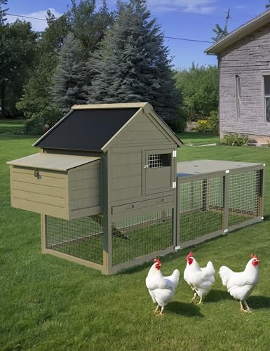 Hipicute Wooden Poultry Cage for 3-5 Chickens, 109in Chicken Coop with Run, Outdoor Hen Coop with Waterproof Roof, Nesting Box, Pull Out Trays and Ramp, Wood Color - color: Wood