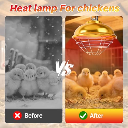 Nirvix 250W Chicken Coop Heater, Brooder Heat Lamp for Chicks, 2-Temp Settings (175W/250W), Adjustable Hanging Height & Waterproof Design for Quail, Ducks, Rabbits, Pets Indoor Outdoor Use