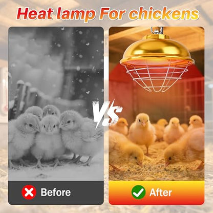 Nirvix 250W Chicken Coop Heater, Brooder Heat Lamp for Chicks, 2-Temp Settings (175W/250W), Adjustable Hanging Height & Waterproof Design for Quail, Ducks, Rabbits, Pets Indoor Outdoor Use