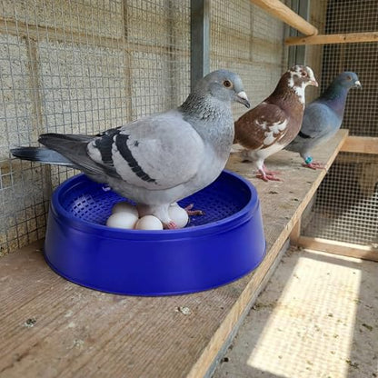 Eorbow 10 Pack Pigeon Nest Bowls, Durable Plastic Bird Breeding Basin, Breathable Egg Rest Beds for Quails Doves and Small Birds, Pet Cage Supplies