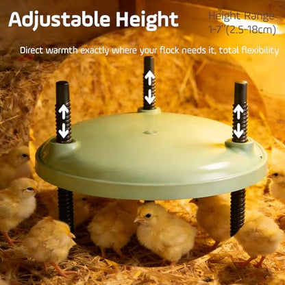 Brooder Plate for Chicks,12inch Metal Heating Plate,Perfectly Adjustable Height & Angle, 35W Chick Warmer for Brooding Newborn Chicken Duckling Quail,Chicken Coop Heater, Warming Puppy Cats - size: Round