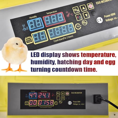 GRAND ORANGE Egg Incubator Automatic Digital Poultry Hatcher Machine Breeder with Temperature Control and Auto Turning for Hatching Chicken Duck Goose Quail Birds (96 Eggs) - size: 96 Eggs