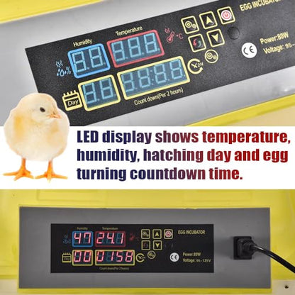 GRAND ORANGE Egg Incubator Automatic Digital Poultry Hatcher Machine Breeder with Temperature Control and Auto Turning for Hatching Chicken Duck Goose Quail Birds (96 Eggs) - size: 96 Eggs