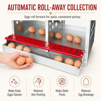 4-Compartment Roll Away Chicken Nesting Box for Hens, 21 Inch | Metal build, Egg collection tray, Perch, Protective lid, Wall mount, Freestanding setup, Ducks, Backyard coop, Barn supply - size: 16.3"L x 16.9"W x 24.4"H