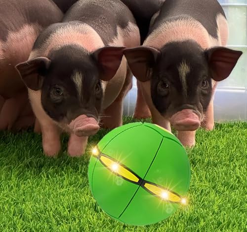 Pig Toy - Toy for Pigs, Interactive Pig Flying Saucer Disc Ball Toys with 6 Lights for Mini Pigs, Enrichment Play for Pet Pigs Supplies Enjoyment and Fun-Green - color: Green