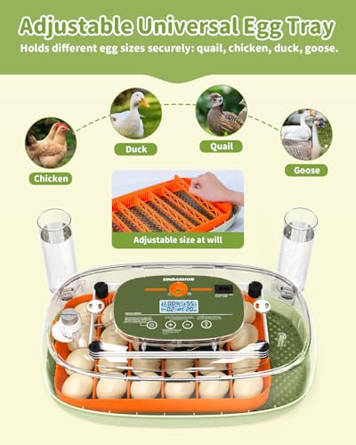 Egg Incubator for 24 Chicken Eggs with Automatic Turner, Digital Temperature Control & Humidity Display, Candler, Poultry Hatcher for Chicken, Duck, Quail, Birds (Green) - color: Green