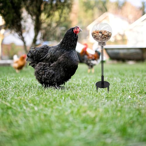 Oooct 4 Pack Chicken Pecking Toys with Swing Feeder, Coop Slow Feeder Toy for Chickens, Chicks, Ducks, Hens, Parrots & Poultry Enrichment - size: 4 Pack