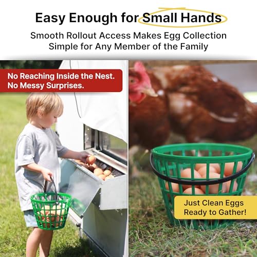 HenGear Nesting Boxes for Chickens, Nest Box with Rollout Egg Collection, Nesting Pads for Cleaner Eggs, Reversible Accessories for Chicken Coop, G90 Galvanized, Made to Last, Small, Up to 20 Hens - size: 20 HENS
