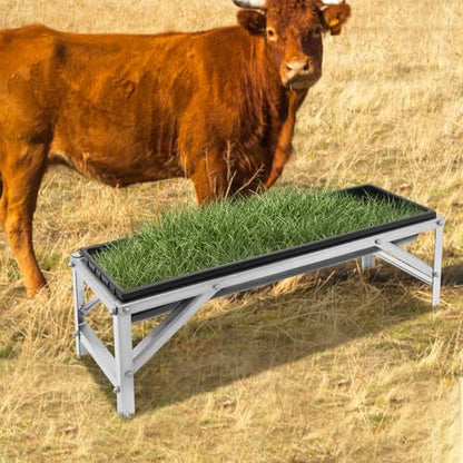 Large Capacity Livestock Feeder, 40in Long 9.25Gal Stainless Steel Feeder with Detachable PP Trough, Heavy-Duty Feed Trough with Stand, for Horse, Goat, Sheep, Cattle, Cow, Pig, Alpaca (Black) - color: Black