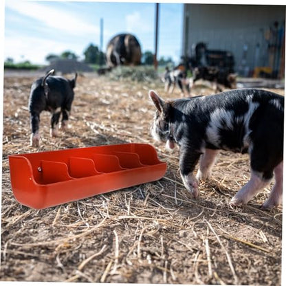 Kisangel Compartment Plastic Pig Feeding Trough Hanging Wall Feeder Pet Farm Supply