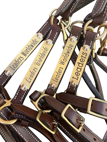 Leaders 3/4" Leather Halter for Horses with Customized Engraved Name Plate Brown Leather with Solid Brass Hardware - size: Horse