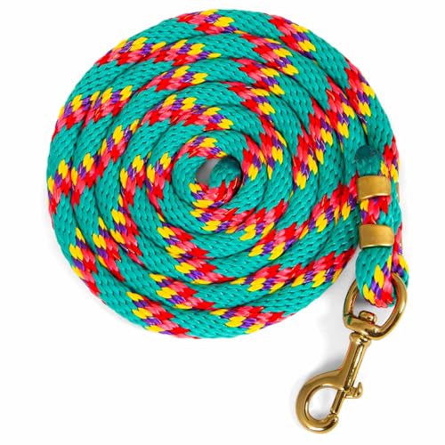 Jeffers Equine Poly Horse Lead Rope, 5/8" x 8', Heavy Duty, Durable Lead Rope with Bolt Snap, Rust Resistant Brass Hardware for Horses - Training, Grooming, & Equestrian Accessories - Turquoise - color: Turquoise with Spiral Pattern, size: 5/8inch x 8inch