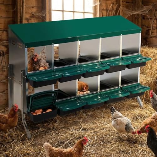 Chicken Nesting Boxes with Cleanable Pull-Out Trays - 10 Hole Metal Rollaway Nest Box for Laying Hens, Wall Mount or Placed Design for Easy Egg Collection & Cleaning