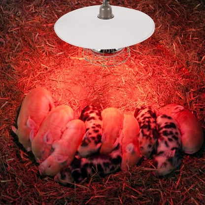 Toddmomy 1pc Metal Heat Lamp Cover for Chickens Reptiles High Temperature Resistant Lampshade for Poultry and Livestock Easy to Install Bulb Guard for Chicken Coop Heating