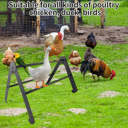 Adjustable Chicken Roosting Bars for Coop & Brooder – Heavy-Duty Metal Roost Ladder, Chick Perch for Hens, Farm-Ready Roosting Bar (Black)