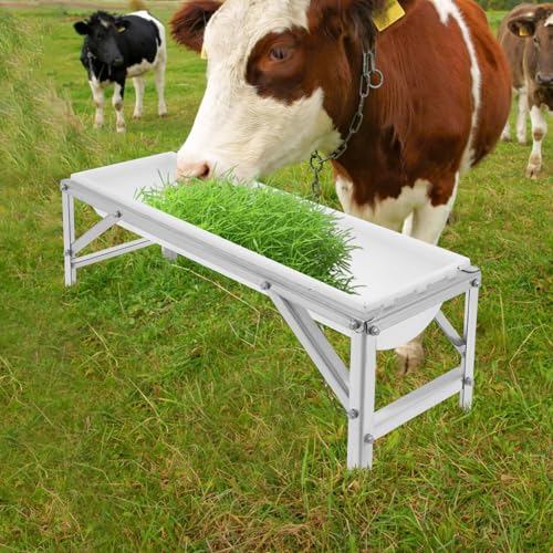 Livestock Feed Trough 9.25Gal, Long Large Capacity Feeder with Stand for Goat Sheep Pig Horse, Heavy Duty Galvanized Frame Hay Feeder, 40.55 x 12.99 x 14.37 inch (White) - color: White