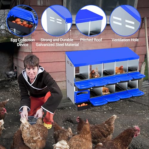 Chicken Nesting Box 10-Hole Roll Away Egg Laying Box with Lid, Galvanized Steel Rustproof Poultry Coop Box, Easy Clean, Wall Mountable No Bracket Needed for Hens, Blue - color: Blue, size: 10 holes