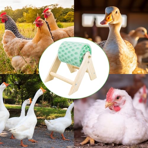 Chicken Coop Accessories, Beak Grinding Calcium Stone with Wooden Stand, Chicken Enrichment Toys, Toys for Hens, Ducks, Geese, Turkeys, Poultry, Green - color: Green