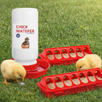 Chick Feeder and Waterer Set, 3 Pcs Baby Chicken Supplies with Chicks Feeder Trough and 1L Waterer, Chicken Starter Kit for Small Poultry Ducks Quail Coop