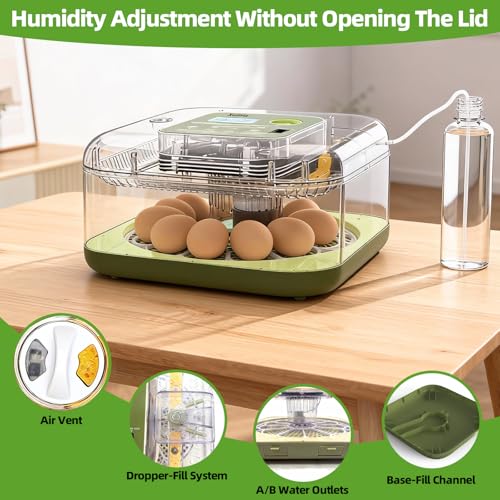 Automatic 12 Egg Incubator - Digital Temperature/Humidity Display, Hatch Day Countdown, Auto Egg Turner & Candler with 360° View for Hatching Chicken, Duck, Quail Eggs