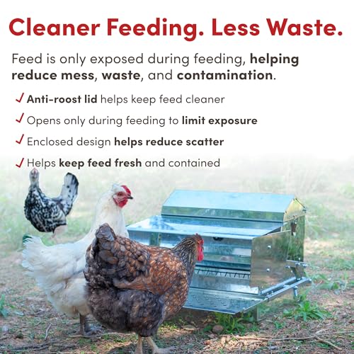 RentACoop 25 lb Automatic Treadle Chicken Feeder, Metal Rat Resistant Poultry Feeder, Rainproof No Waste Step-On Feeder for Chickens, Bantams, Ducks, Pheasants, Outdoor Covered Feed Bin - style: 25LB Treadle Feeder