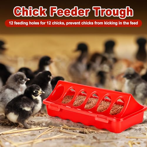 POMINEL Chick Brooder Box Starter Kit, Plastic Baby Chicken Feeder and Waterer Set with Chick Perch - color: WHITE
