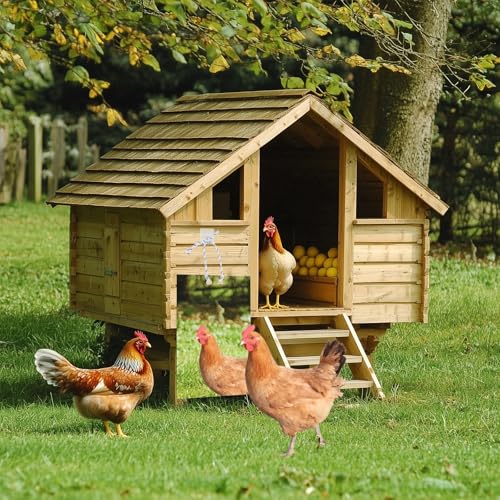 Large Chicken Mirror Toys Acrylic Hanging Swing Mirror for Hens Birds Parrots（7.8inch*11.8inch）