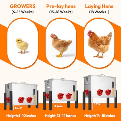 Chicken Feeder Metal 40lb,Automatic Chicken Feeder with Viewing Window,No Waste Height Adjustable Large Capacity Poultry Equipment,Rat Proof,Rodent Proof,Weatherproof Silo,Outdoor Chicken coop