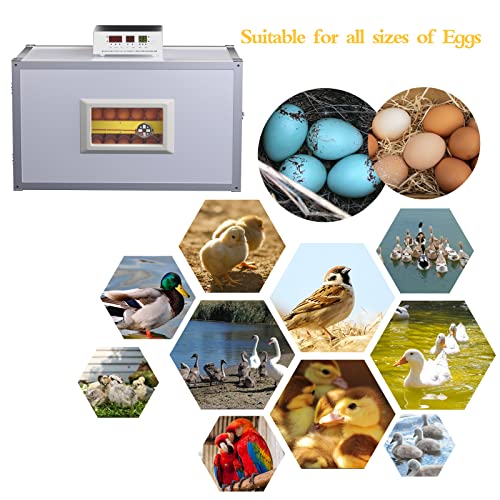 Egg Incubator ，Farm Egg Incubator with Automatic Egg Turning and Humidity Control，Industrial Brooding Machine Chicken Incubator ，Suitable for Chicken Duck Goose Quail Parrot Bird Eggs