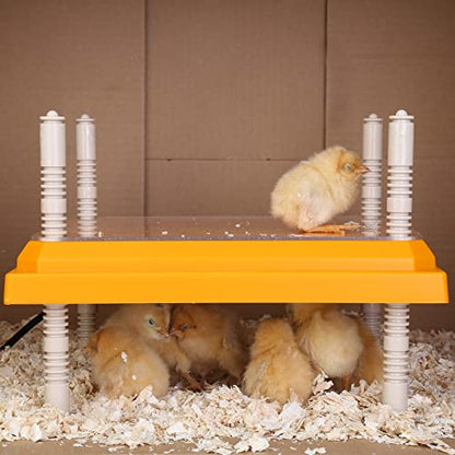 Brooder Heater for Chicks: Chick Brooder Heating Plate with Easy- Cleaning Plate Poultry Coop Heater Chicks Warmer 12" x 12" for 20 Chicks Adjustable Height Brooding Heater 22 Watts - color: Orange-12x12