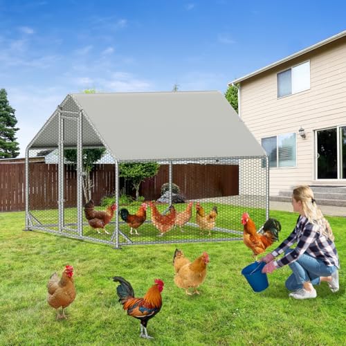 Large Metal Chicken Coop, Walk - in Chicken House, Outdoor Chicken Coop for 5-10 Chickens Yard/Farm/Ranch Outdoor Fresh Egg Supply (6.7x10x6.5 FT)