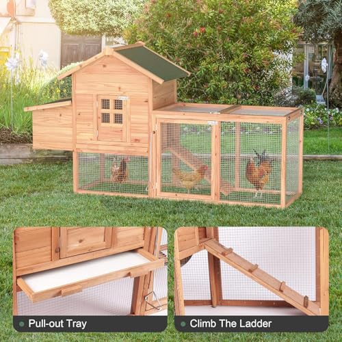 Morngardo Outdoor Chicken Coop for 2-4 Chickens, Wooden Hen House Poultry Cage Rabbit Hutch with Ramp, Nesting Box, Tray, Roosting Bar, 4 Access Areas