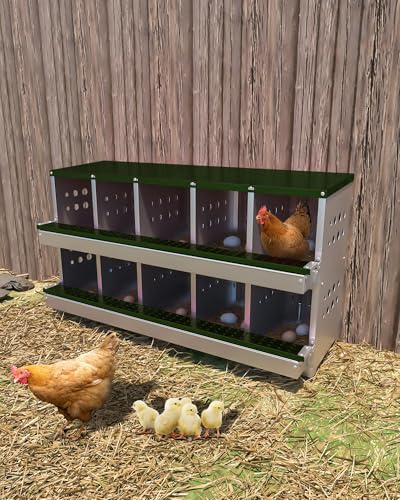 Galvanized Metal Chicken Nesting Box - 10 Compartments with Perch Rod, Egg Collection Tray & Fake Training Eggs - Rustproof Poultry Laying Box for Hens - color: Green, size: 10 Compartments