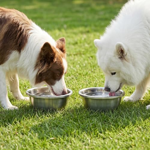 10 Pack Stainless Steel Dog Bowls, 8 Cup 64 OZ Metal Thickened Food and Water Dish, 8.7 Inch Ample Capacity & Dishwasher Safe Pet Feed Replacement Bowls for Small Medium Large Dogs Cats