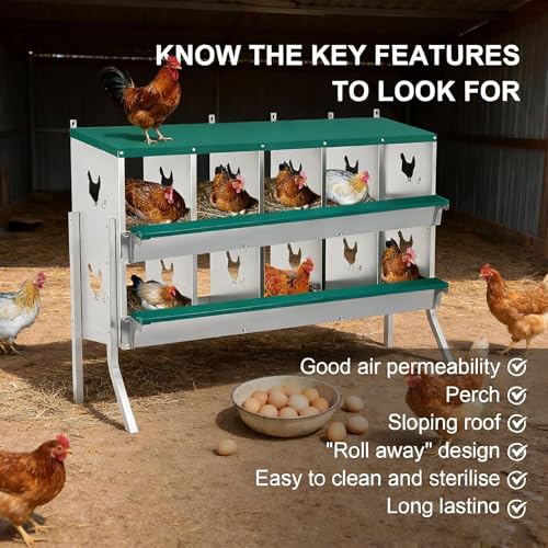 Wall Mounted Chicken Nesting Box – Weather Resistant Galvanized Steel Poultry Nest with 10 Absorbent Pads & 4 Fake Eggs, Egg Roll-Away System & Protective Lid for Coop, Barn, Backyard Hen House - size: 10 Room&Mat eggs