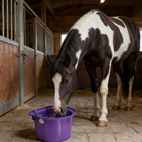 Qianly Horse Feed Bucket Feed Trough Farm Mountable for Easy Hanging Versatile Ergonomic Livestock Feeding Container Heavy Duty, Purple - color: Purple