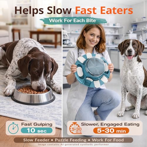 KADTC 2 Level-in-1 Dog Puzzle Toy, Slow Feeder & Enrichment Toy for Dogs | Press-to-release mental stimulation toy that burns energy, fights boredom, and keeps food-motivated dogs focused at mealtime. - color: Matisse green