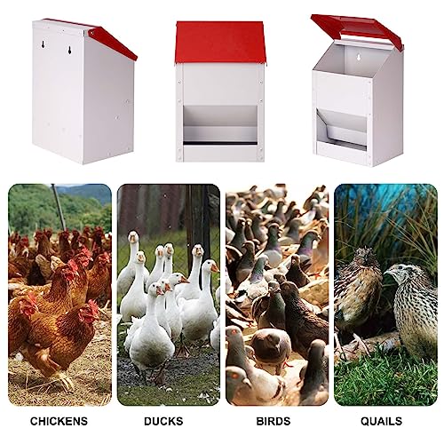 Automatic Metal Chicken Feeder Galvanized Poultry Feeder with Lid Outdoor Wall Mount Chicken Food Dispenser Gravity Fed Chicken Feeder Weatherproof No Waste Quail Duck Feeder (10LBS)